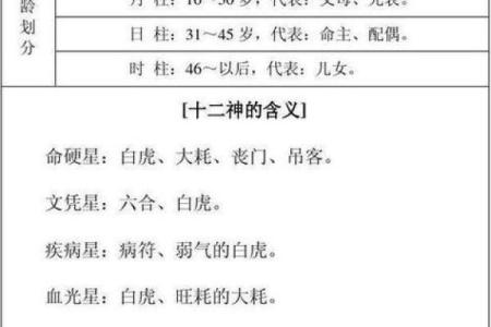 午时出生的命格解析:如何利用八字寻找人生方向与机遇