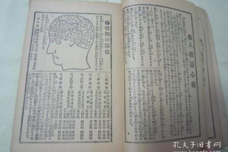 探索命理学：适合学习命理的人群与成长路径