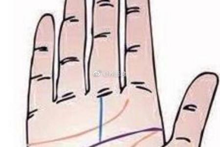 中指粗壮的命运解析:它隐藏了哪些人生秘密?