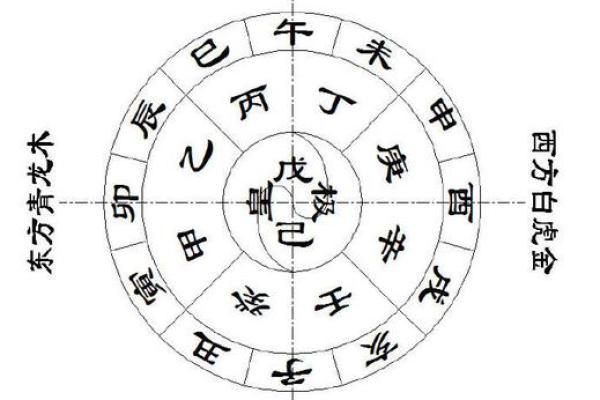 探秘壬寅年正月的干支命理与生肖运势解析