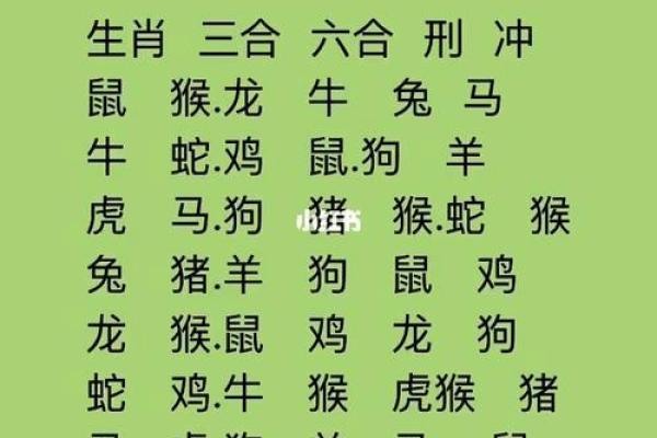 探讨命与命的婚配：如何选择最佳伴侣？