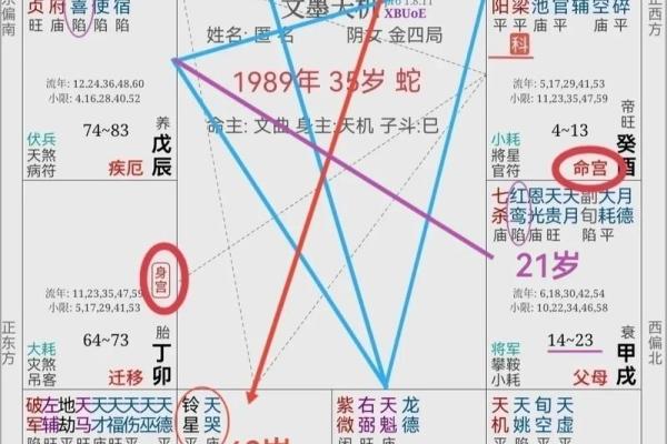 探索伤官格命局：缺木之人的命理奥秘与自我提升之道