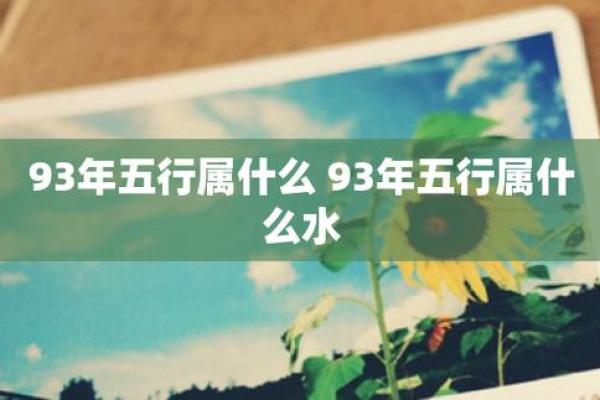 五行属水鸡之命：探秘水鸡的命理及其生活智慧