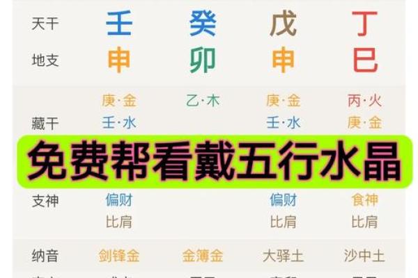 五行土命人的学业选择：适合他们的专业与发展道路