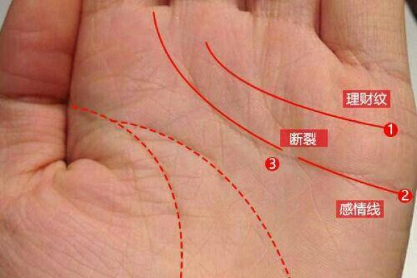 探秘“女命日柱元男”：她的命运与爱情的深刻解读