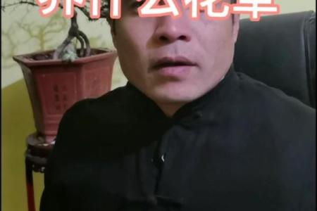 探索石榴木命:与怎样的人搭配才能更好地人生运转?