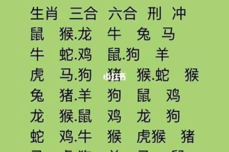 探讨命与命的婚配:如何选择最佳伴侣?