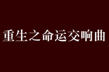 水浒宝宝金命解析：命运与选择的交响曲