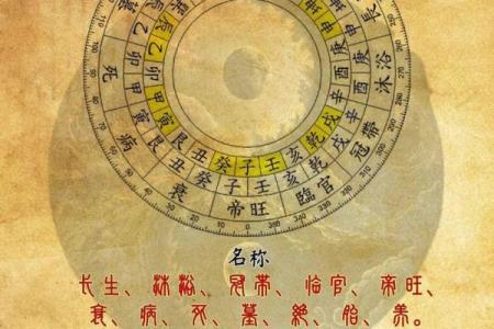 五行属水鸡之命:探秘水鸡的命理及其生活智慧