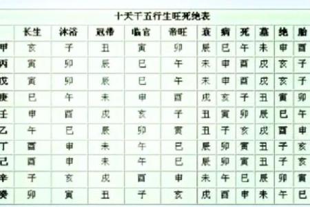 杨柳木命与何种命相合?揭示五行命理的奥秘!