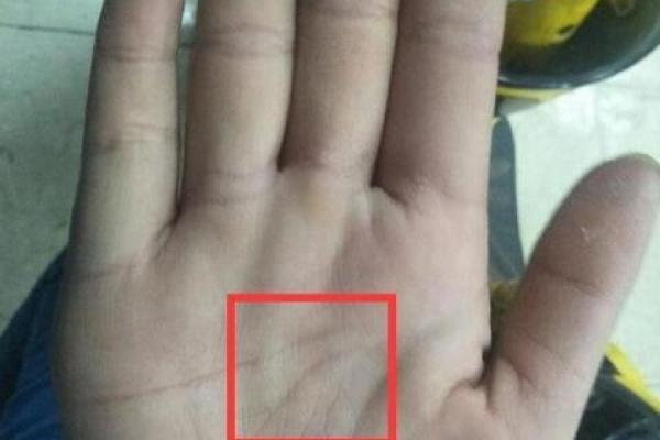 土猪命与最适合的命局：最佳搭配解析