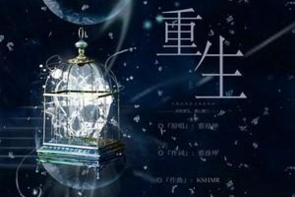 烟雾缭绕中的救赎：那首歌与重生的故事