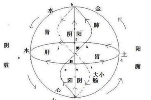 阴历四月十二：探寻您的命理秘密与人生方向
