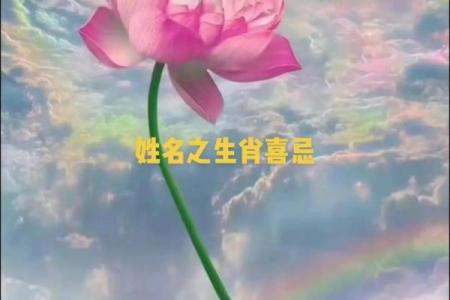 探寻土命的奥秘:生肖与五行的奇妙结合