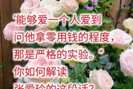依依相依：探索深厚情感的意义与联系