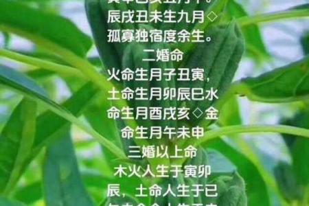 水命与木命的绝妙婚配：缘分与和谐的结合之道