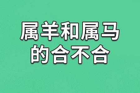 羊年8月出生的命运解析:性格、事业与爱情的秘密