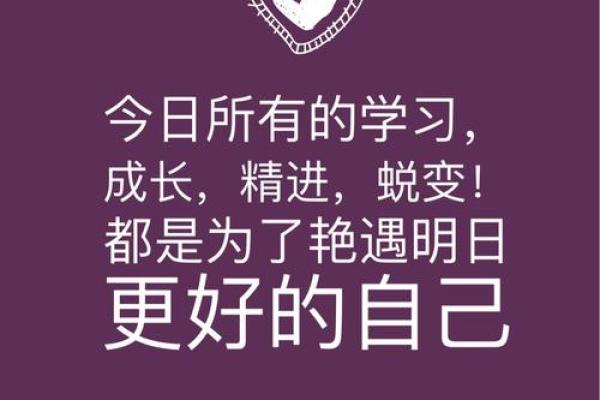 乙亥年葵末月壬子日命理解析：揭示命运的秘密与人生的指引