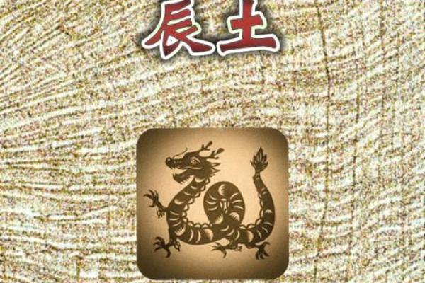 土命与八字相克相冲的命格解析与调和策略