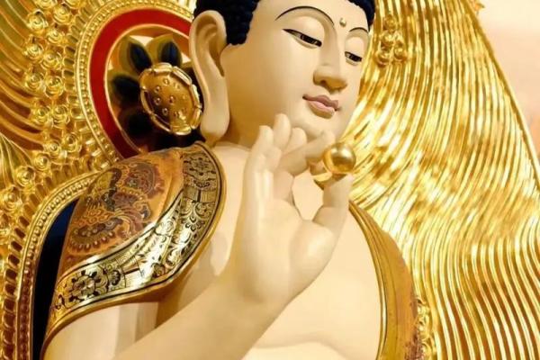 探索人生的五条命：如何找到适合自己的命运之路