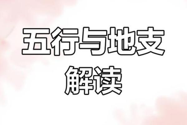 土命与什么命合作最好？解析五行相生的奥秘！