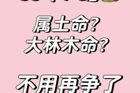 天上土命与哪些命最相配，揭示命理深奥奥秘