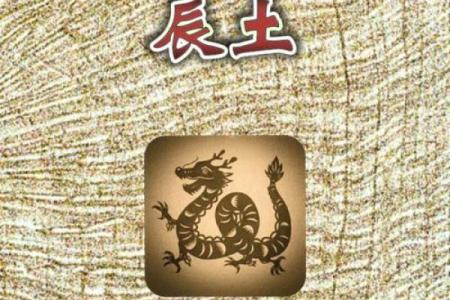 土命与八字相克相冲的命格解析与调和策略