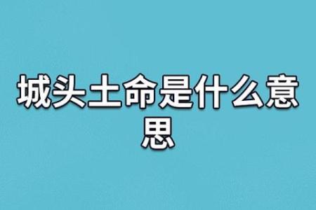 土命与其他命理的最佳搭配:和谐相生的生活智慧