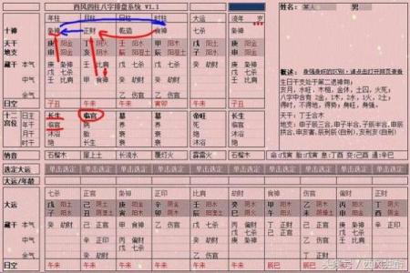 枭字命的神秘与启示:揭秘命理中的枭字角色
