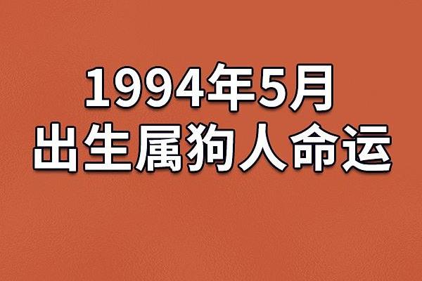 一九九三年狗年出生的命运解析与性格特点探究