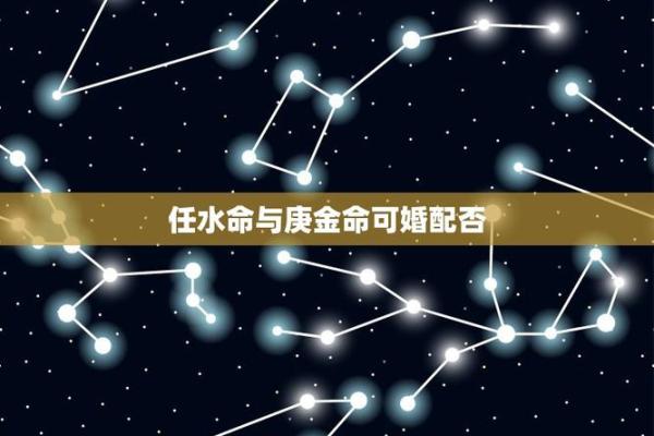 水命与最佳婚配：解锁幸福生活的秘诀