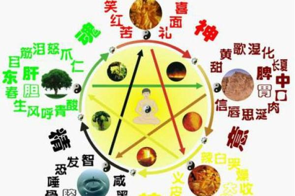 探索十月的海中金命：五行缺失与生命的和谐之道