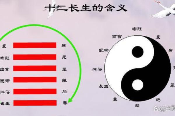 探索八字命理中“长生之命”的深奥与魅力