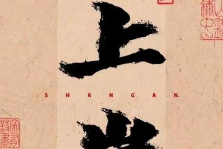 一个月八百块,你拼什么命?生活的追逐与无奈