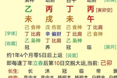 择日之丙午与年命:浅谈命理与日常生活的关系