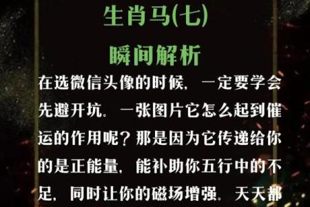 为属狗木命的人起一个好名字的艺术与智慧