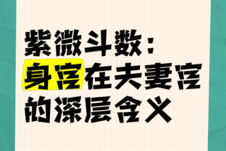 探索紫微命中的财富与尊贵：命运的秘密之钥