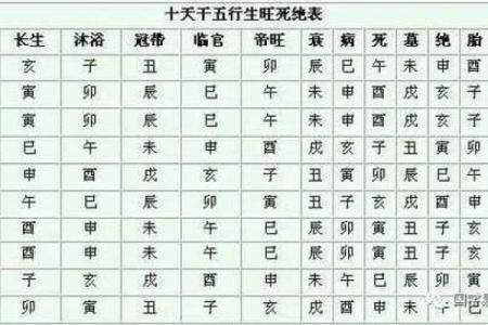 探索八字命理中“长生之命”的深奥与魅力