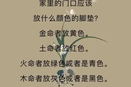 土命与木命的宝宝命理分析：如何选择最适合的孩子性格特点？