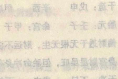 探寻命运的奥秘:解析“任途之命”的深刻含义与启示