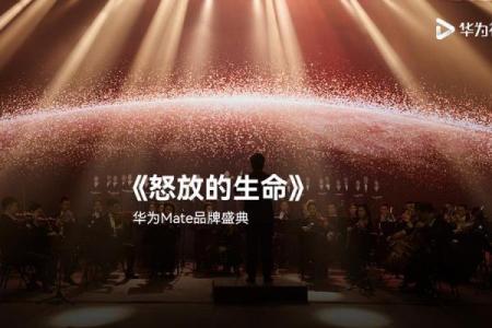 挣来的钱与生命价值:心灵的探讨与生活的智慧