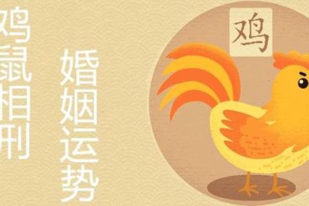 探寻木鼠之命:适合的命理搭配与生活智慧