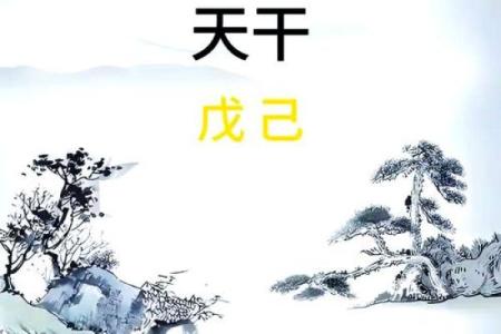 为何命带九天玄女者无姻缘,探寻命理与情感的奥秘