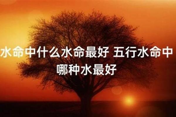 探秘五行之美：水命、木命与金命的和谐之舞