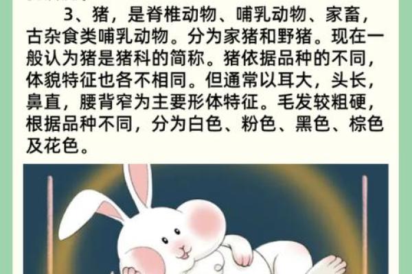 四十九岁牛生肖的命运探讨与人生智慧