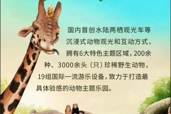 追寻金命之源：解密金命动物与植物的奥秘
