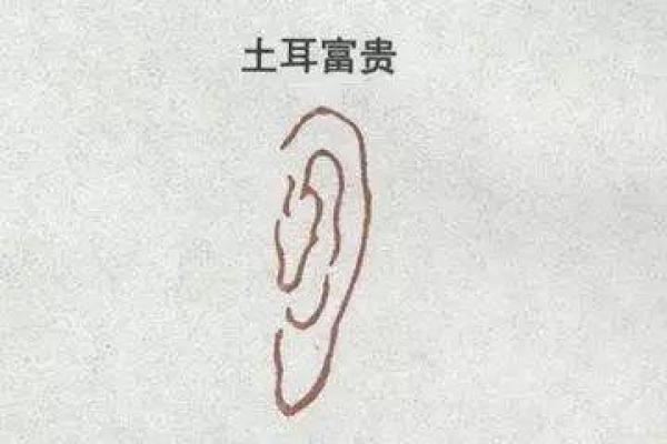五行之道：土与金的命理深探，让你的人生更加精彩！