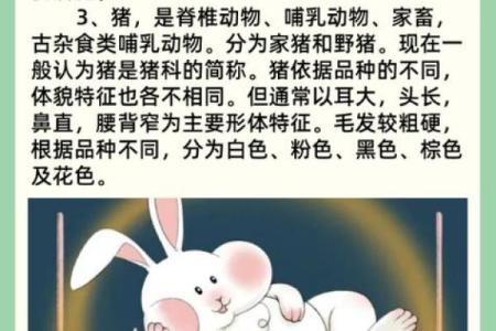 四十九岁牛生肖的命运探讨与人生智慧