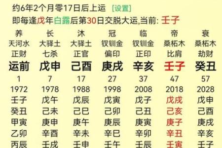 探寻八字命理:妻子在八字中暗示的命局与生活启示