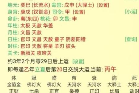 探索男命八字中的官杀印格局:性格与命运的深度解析